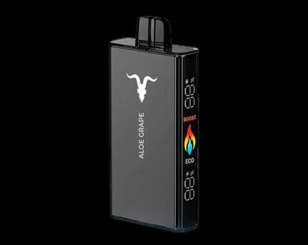 IGNITE V250 — view 4