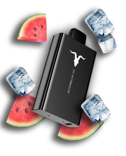 IGNITE V80 — view 2