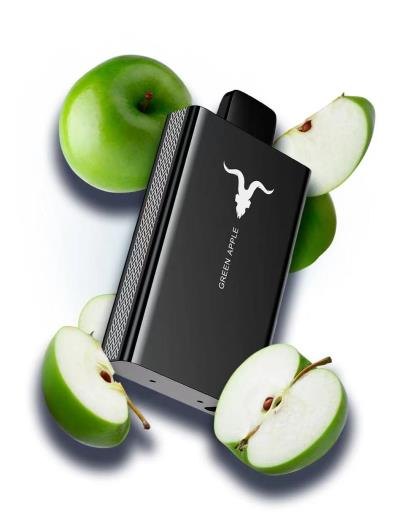 IGNITE V80 — view 11
