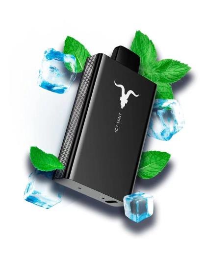 IGNITE V80 — view 12