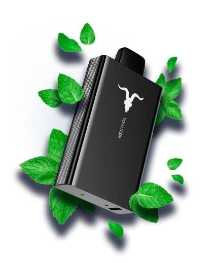 IGNITE V80 — view 13