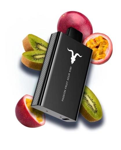 IGNITE V80 — view 14