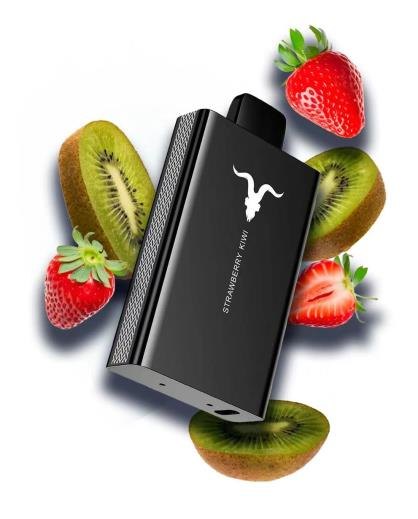 IGNITE V80 — view 3