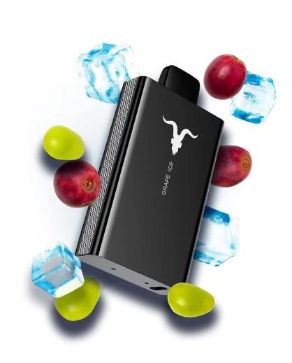 IGNITE V80 — view 4