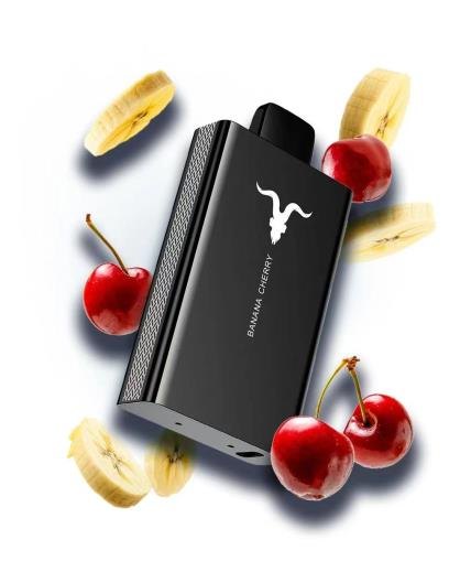 IGNITE V80 — view 5