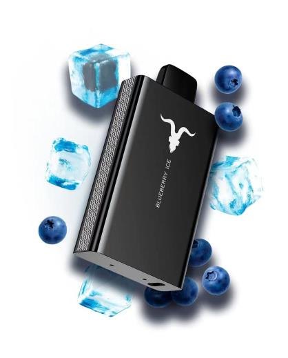 IGNITE V80 — view 7