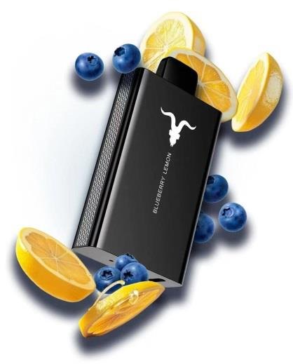 IGNITE V80 — view 8