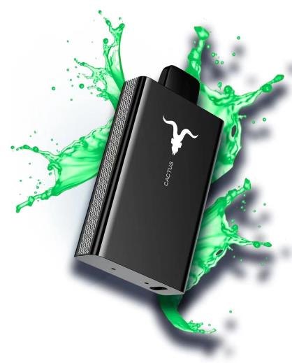 IGNITE V80 — view 9