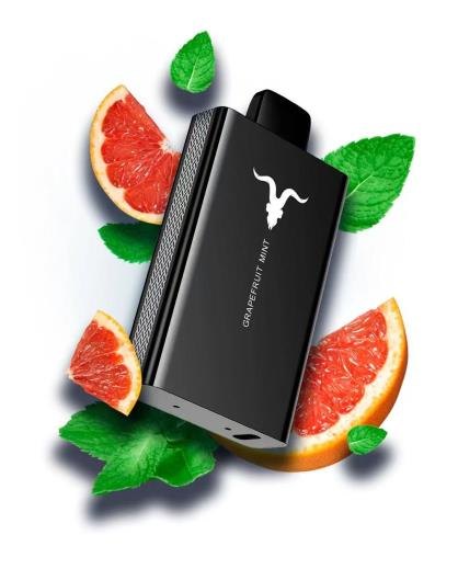 IGNITE V80 — view 10