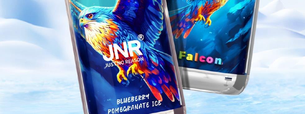 JNR Falcon wholesale Europe