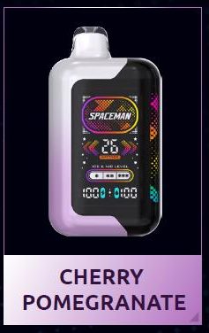 SMOK Spaceman — view 2