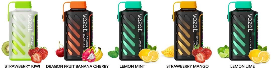 VOZOL Gear Power 20000 — view 4