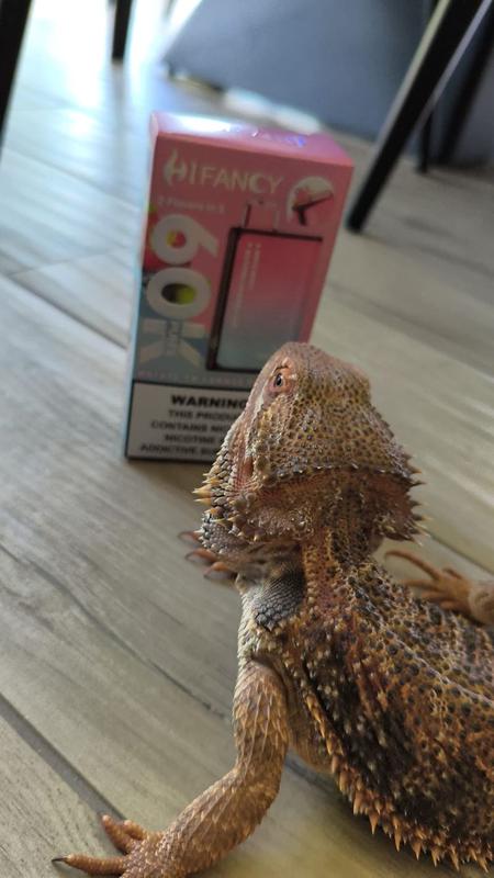 HIFANCY 70K box with pet lizard funny customer photo real product unboxing